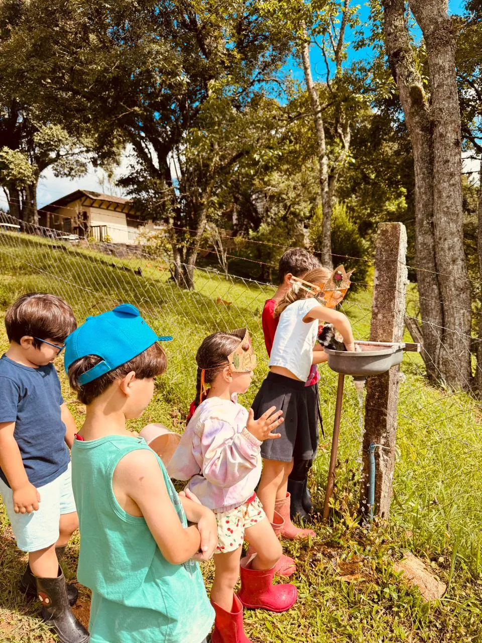 Grupo de crianças com coroas de folhas brincando e alimentando uma galinha perto de uma cerca
