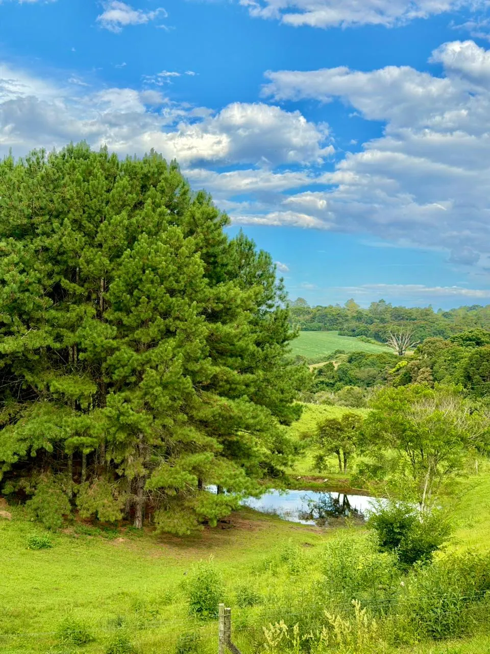 Paisagem verde da Chácara Mato Preto com árvores, um pequeno lago e céu azul com nuvens
